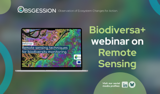 Biodiversa+ webinar explores remote sensing for biodiversity monitoring