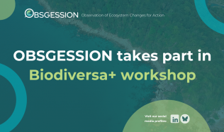 OBSGESSION participated in Biodiversa+ workshop on habitat connectivity