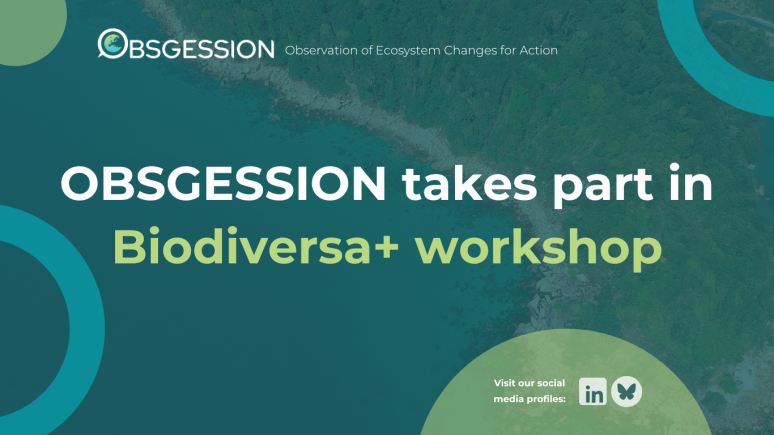 OBSGESSION participated in Biodiversa+ workshop on habitat connectivity