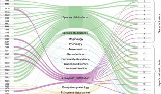 Leveraging GEO BON and EuropaBON data for EBVs: Japan and Finland comparison