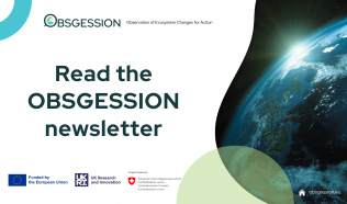 OBSGESSION Newsletter: The December 2025 issue is out