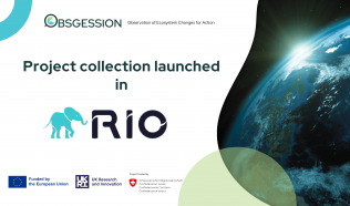 OBSGESSION launches topical collection in RIO journal