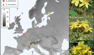New publication featuring OBSGESSION has been published in the Ecology and Evolution journal