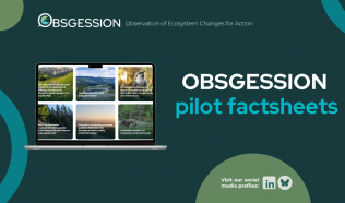 The OBSGESSION factsheets: Showcasing the project’s biodiversity pilots in an accessible way