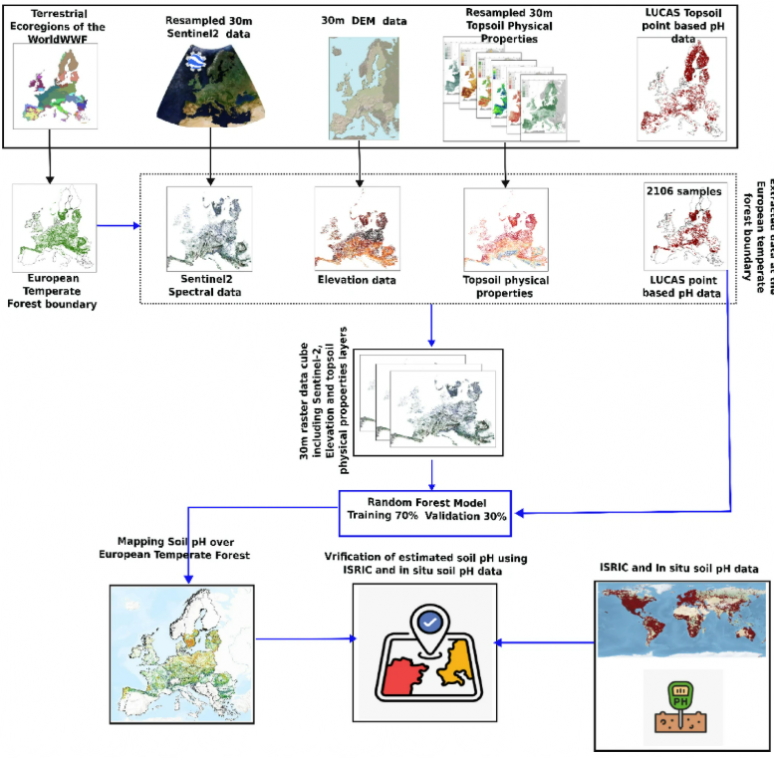 Soil pH from above: Using satellite data to protect Europe’s forest productivity